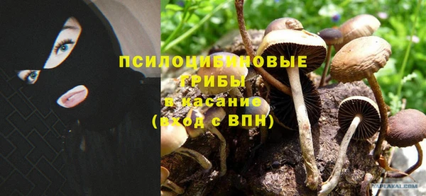 гидра Дмитриев